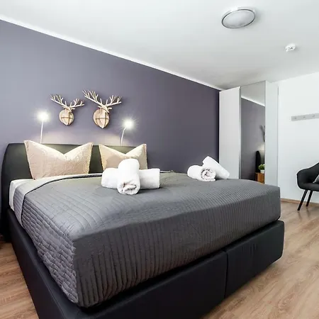 Deluxe Friedrichstrasse Apartment Freiburg im Breisgau